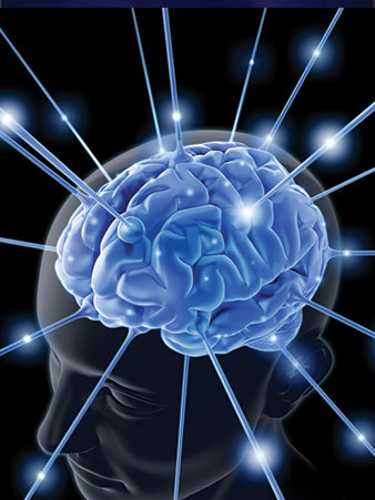 photo of brain image